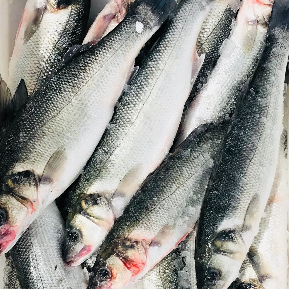 sea-bass-whole-sailbrand