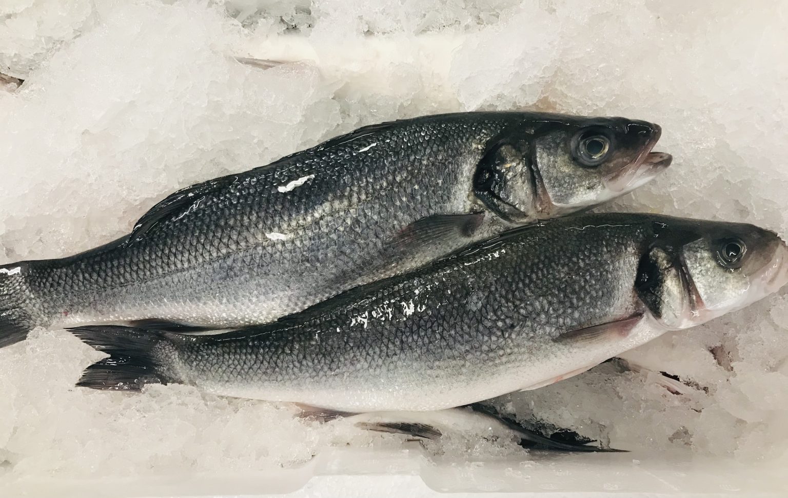Whole Sea Bass 400/600g Fish 6kg Box Sailbrand