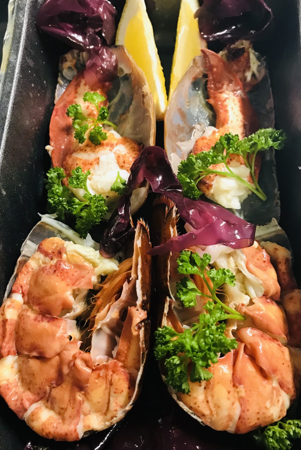 Dressed Lobster Sailbrand