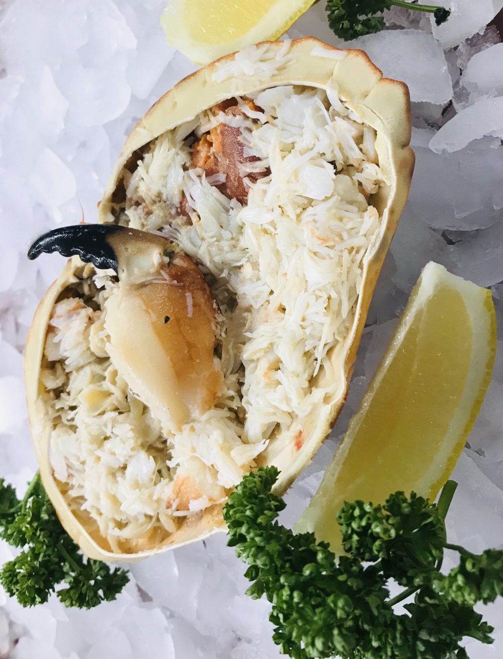 Fresh Whitby Dressed Crab 140/160g – Sailbrand